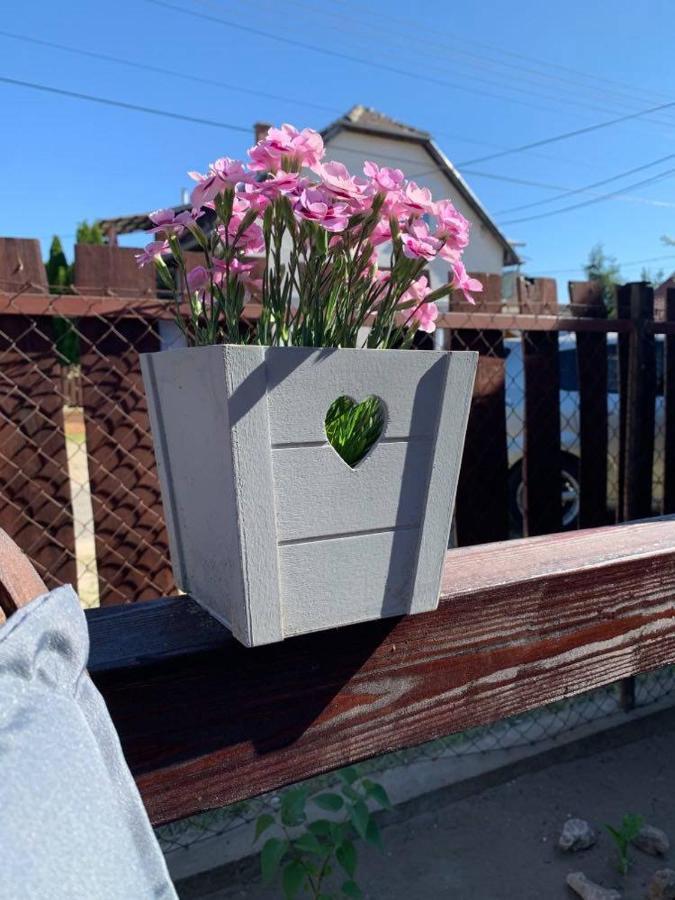 Mandi Apartman Veresegyház Exteriér fotografie